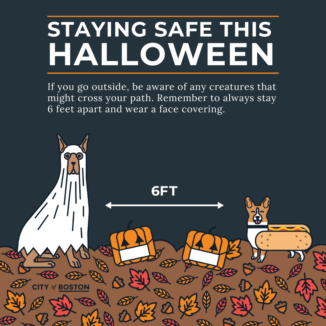 Guidance for celebrating Halloween during COVID19 Boston.gov